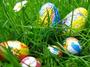 oeufs